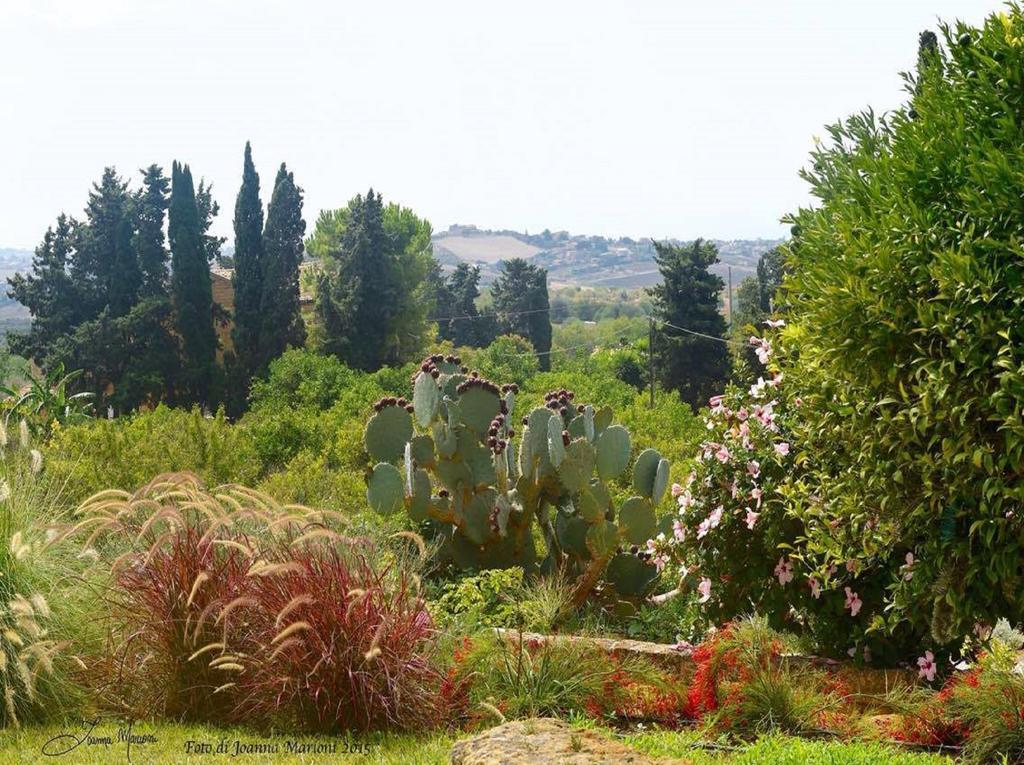 Bed & Breakfast La Lumia &